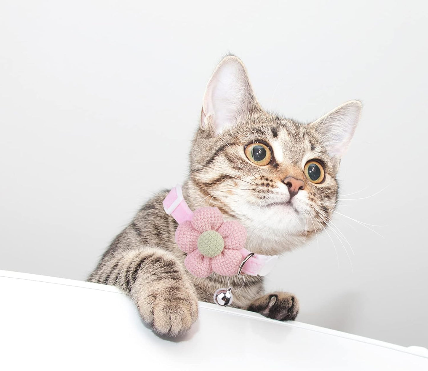 Petslova™ Cat Collar with Cute Flower