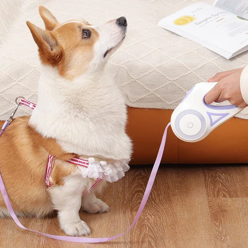 Petslova™ LED Retractable Dog Leash – Luminous, Automatic & Durable