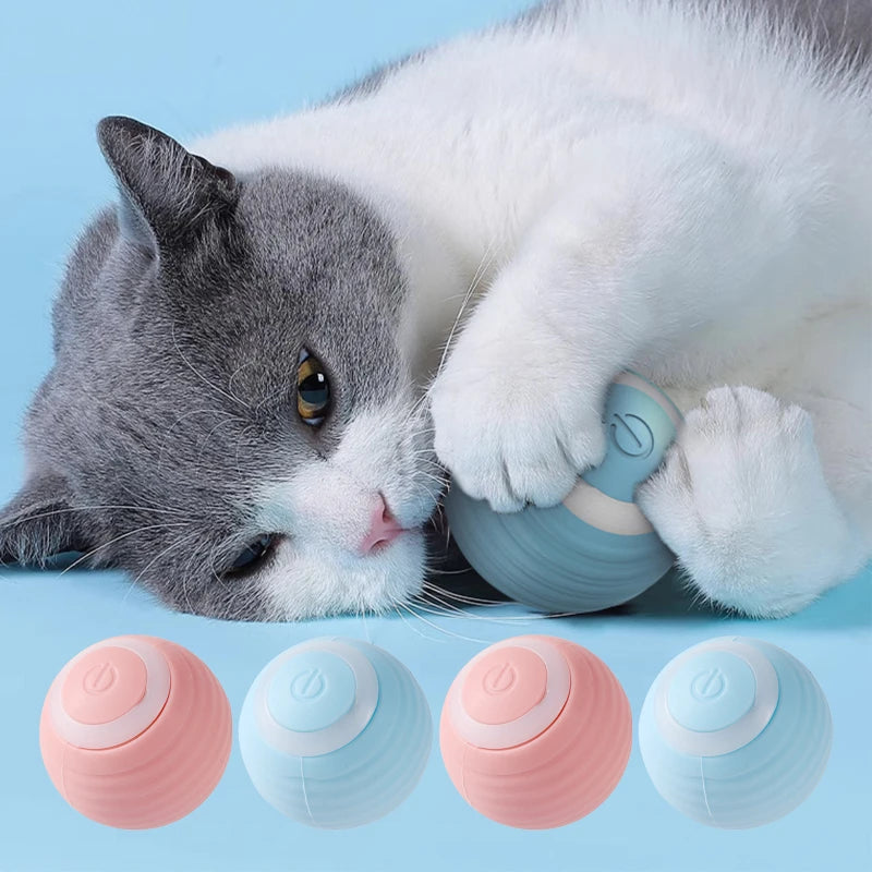 Petslova™ Interactive Rolling Cat Toy – Automatic & Rechargeable Ball