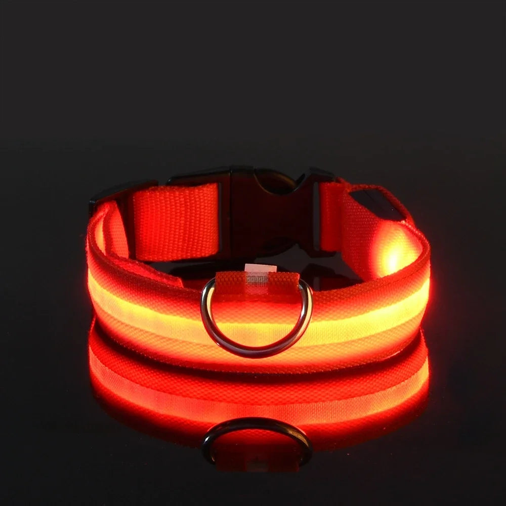 Petslova™ Dog Collar Nylon LED