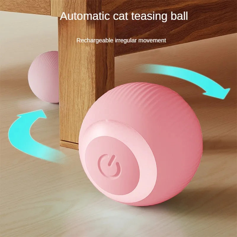 Petslova™ Interactive Rolling Cat Toy – Automatic & Rechargeable Ball