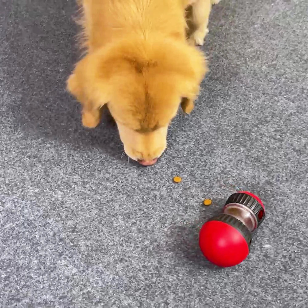 Petslova™ Interactive Dog Toy – Slow Feeder & IQ Trainer