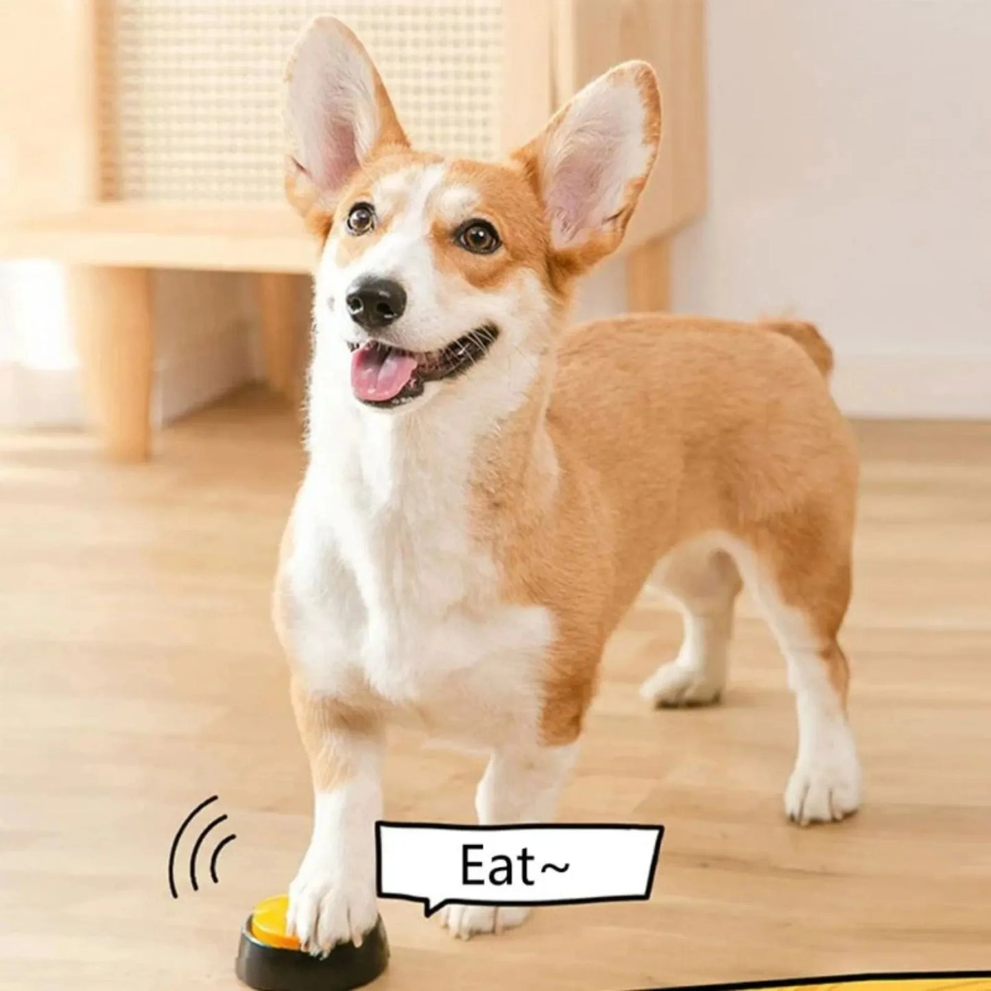 Petslova™ Dog Talking Buttons – 30s Recordable Training Buzzers for Pets