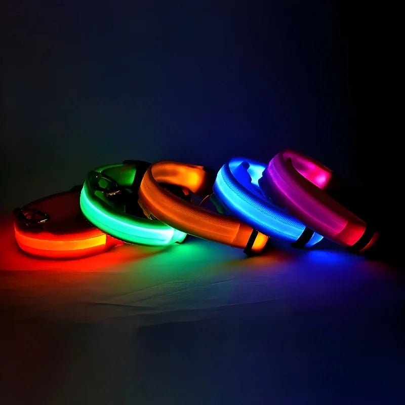 Petslova™ Dog Collar Nylon LED