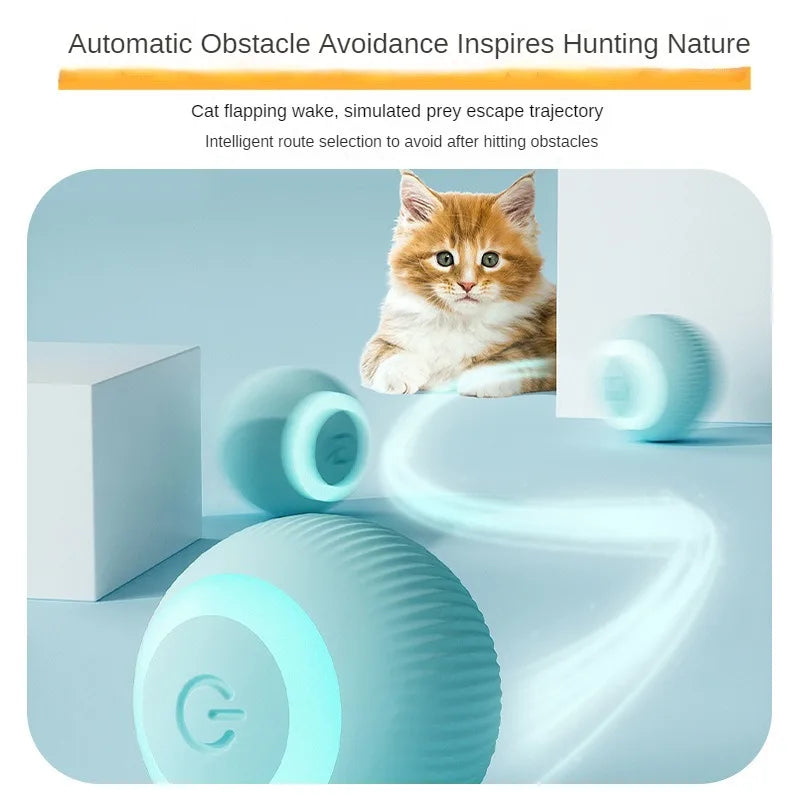 Petslova™ Interactive Rolling Cat Toy – Automatic & Rechargeable Ball