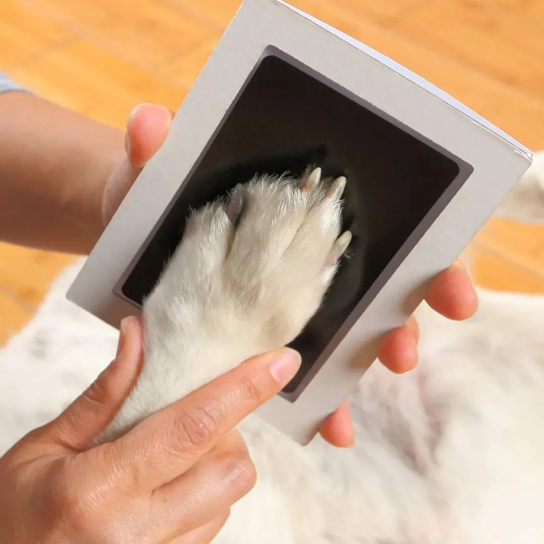Petslova™ Paw Print Ink Pad – Inkless Pet Keepsake Kit