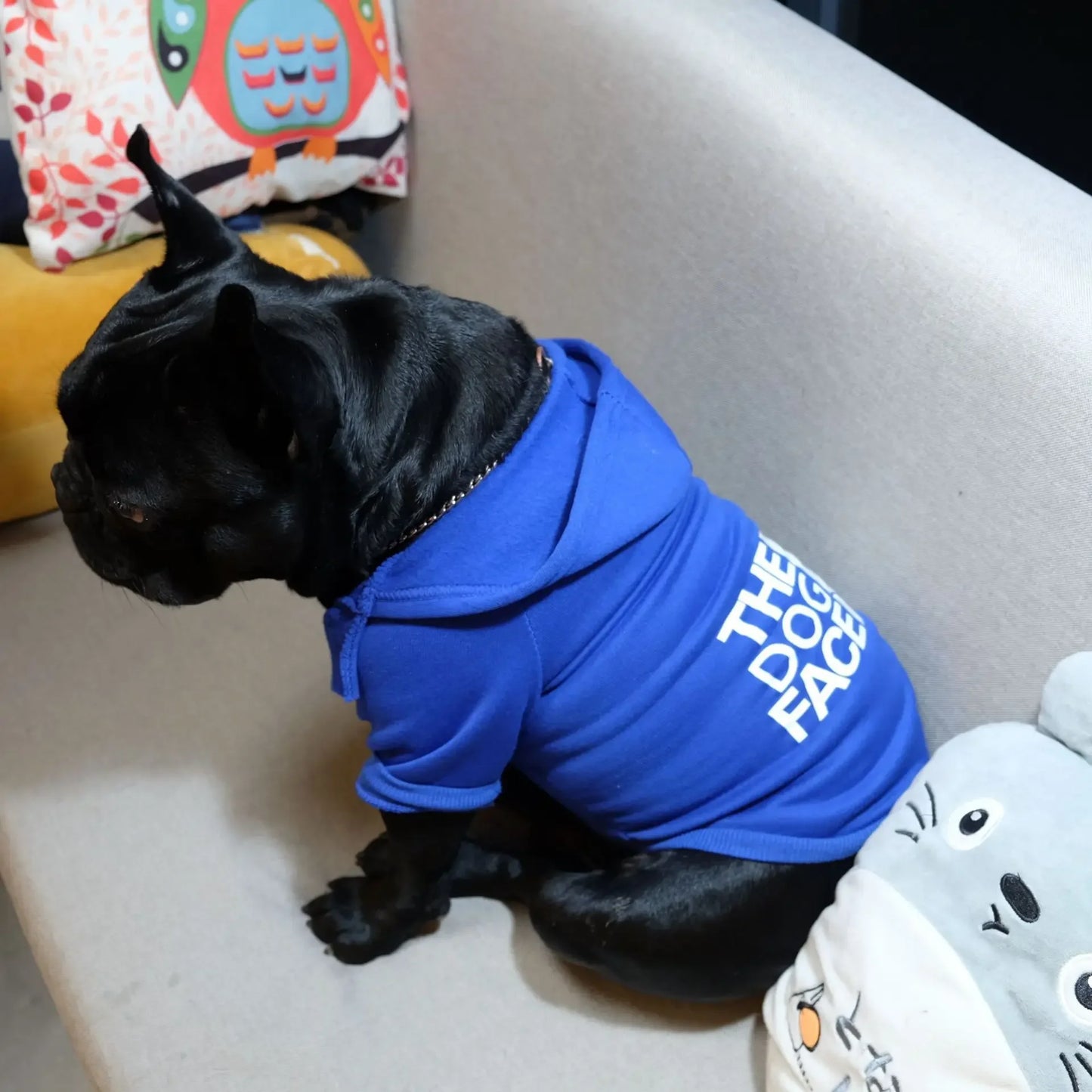 Petslova™ Dog Hoodie – Warm Pet Jacket