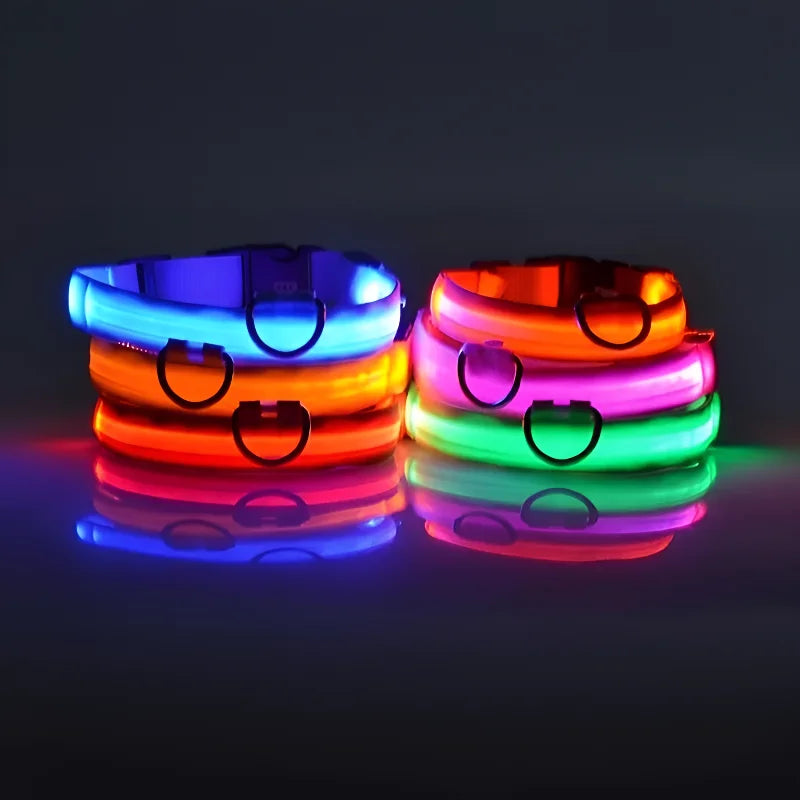 Petslova™ Dog Collar Nylon LED