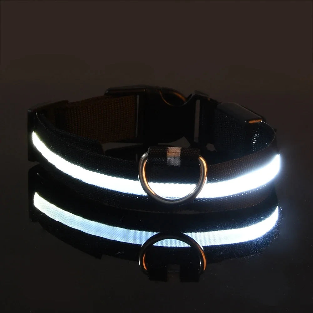Petslova™ Dog Collar Nylon LED