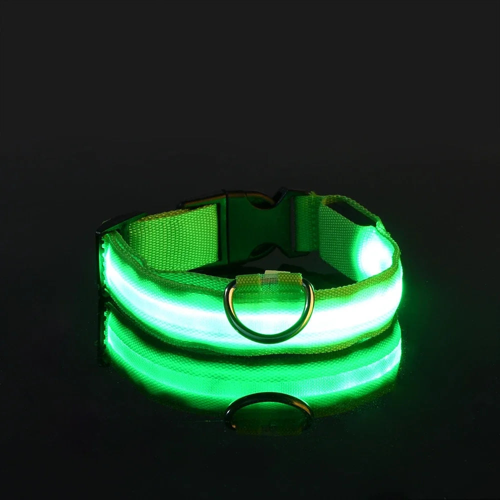 Petslova™ Dog Collar Nylon LED