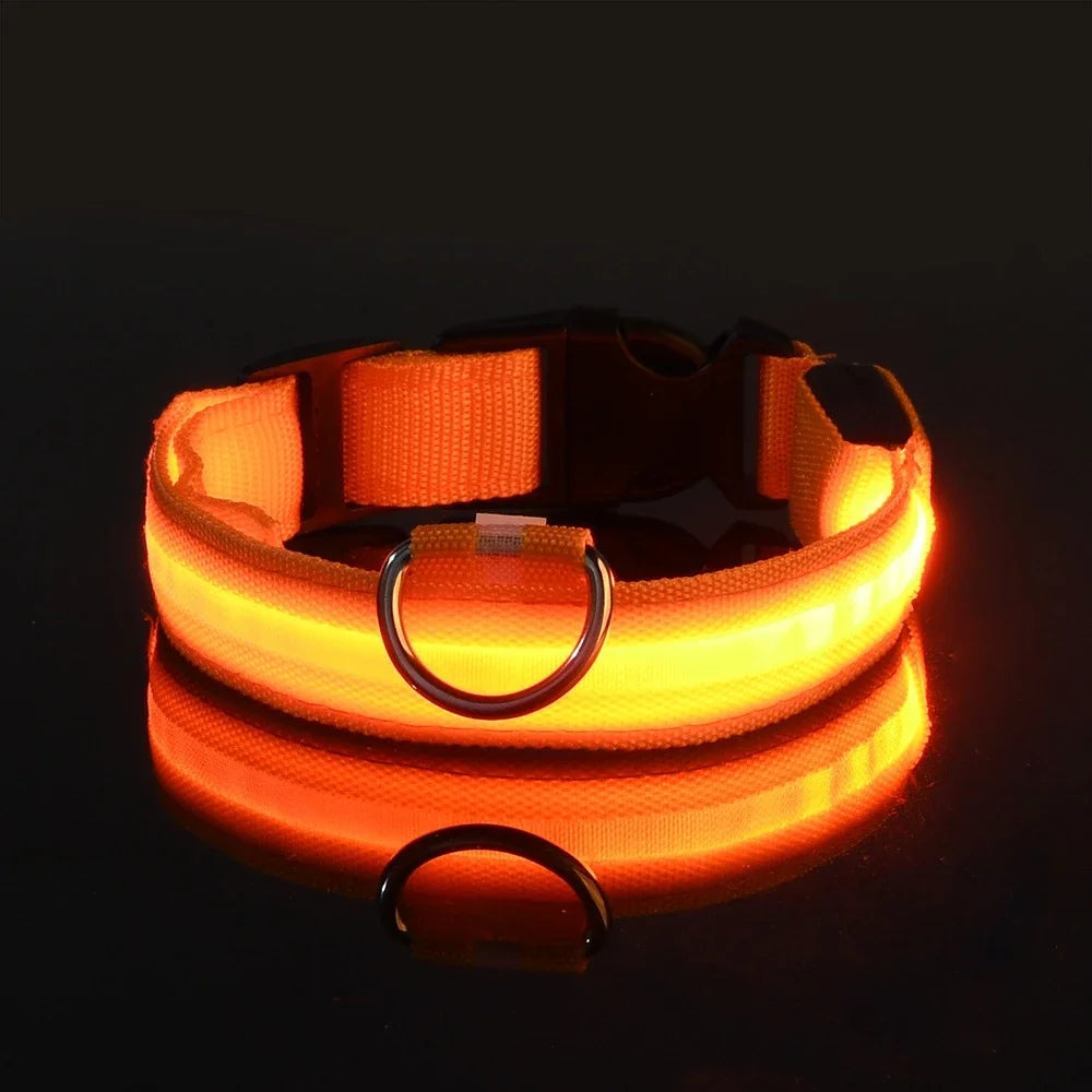 Petslova™ Dog Collar Nylon LED