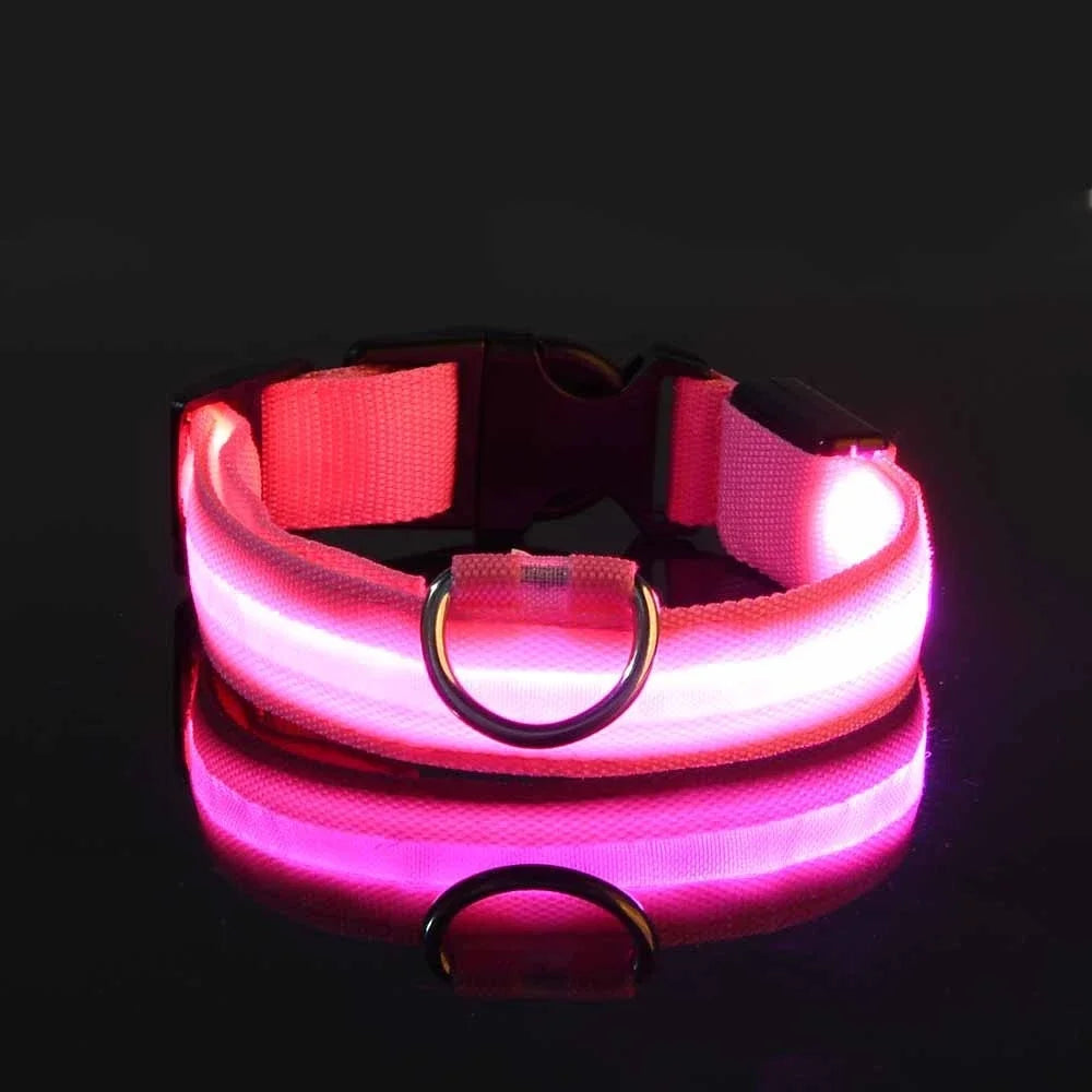 Petslova™ Dog Collar Nylon LED