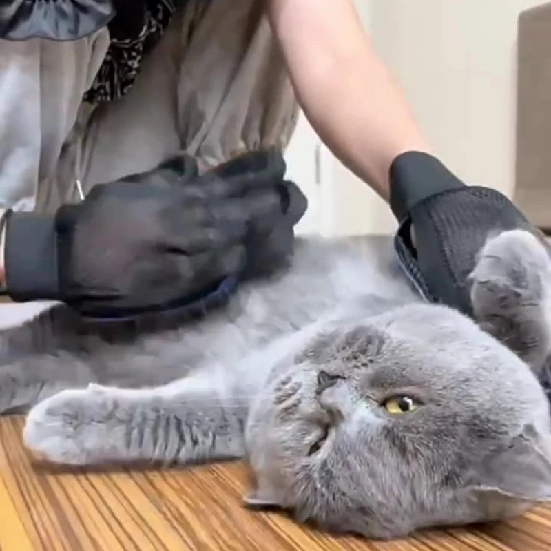 Petslova™ Silicone Pet Grooming Gloves