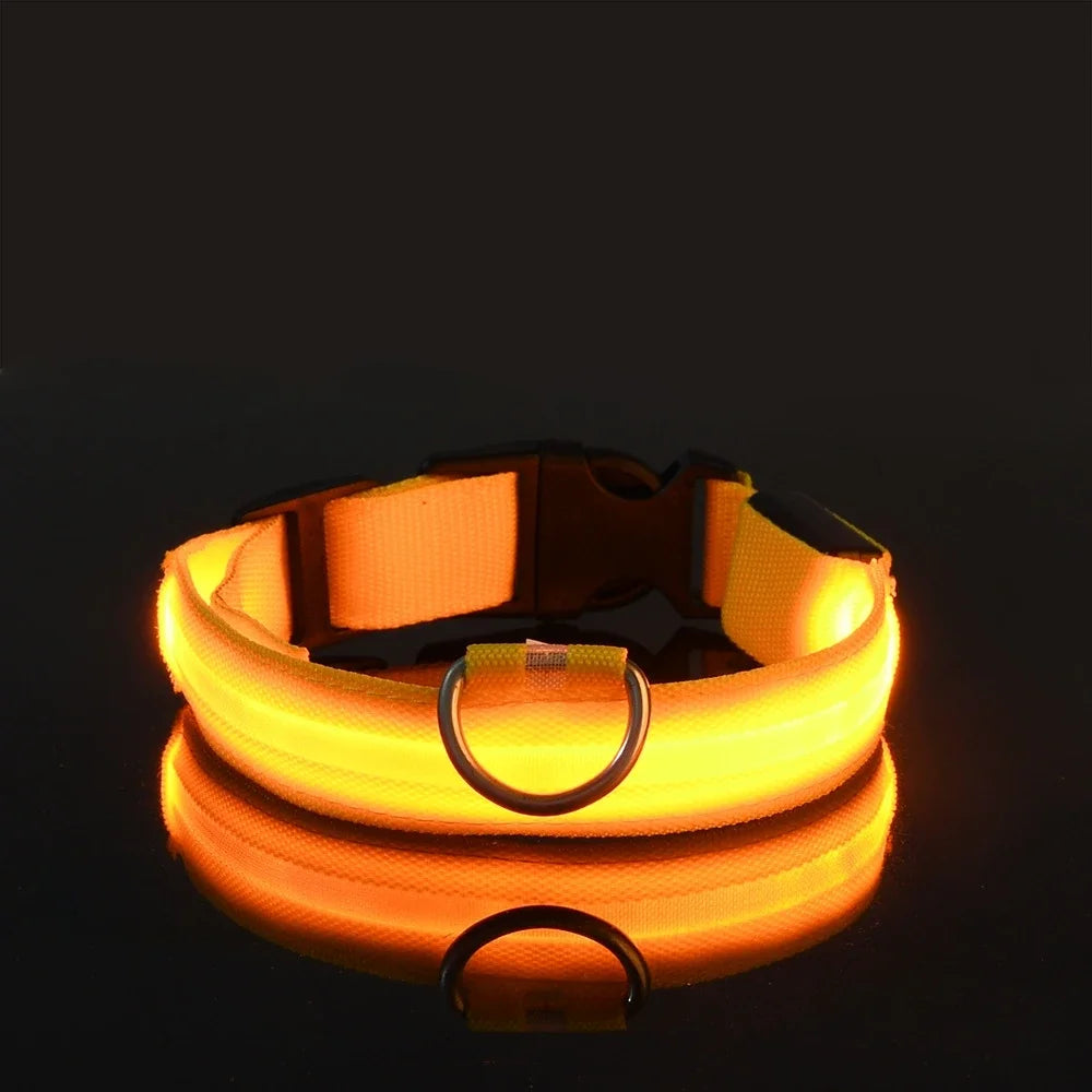 Petslova™ Dog Collar Nylon LED