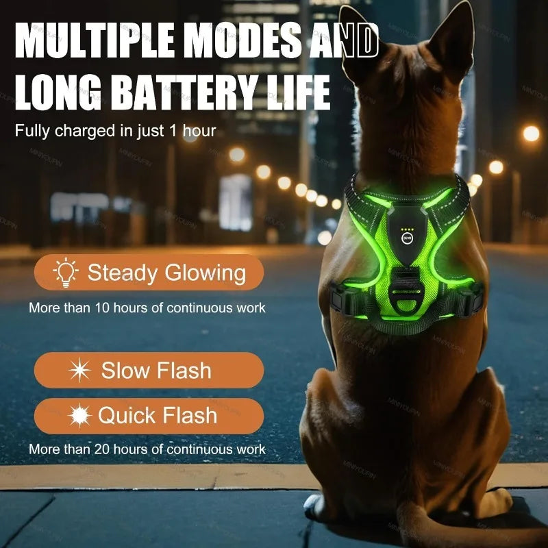 Petslova™ LED Dog Harness – Rechargeable, Three Light Modes for Night Safety