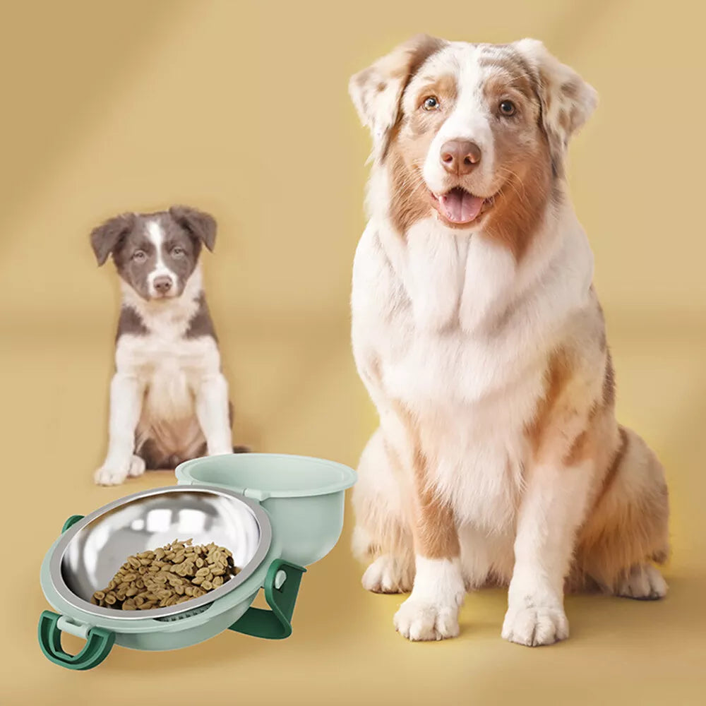 Petslova™ Portable Pet Bowl – Travel Folding Double Bowl