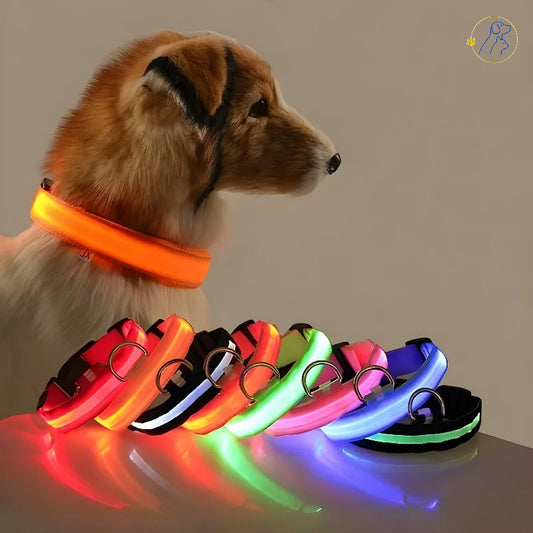 Petslova™ Dog Collar Nylon LED