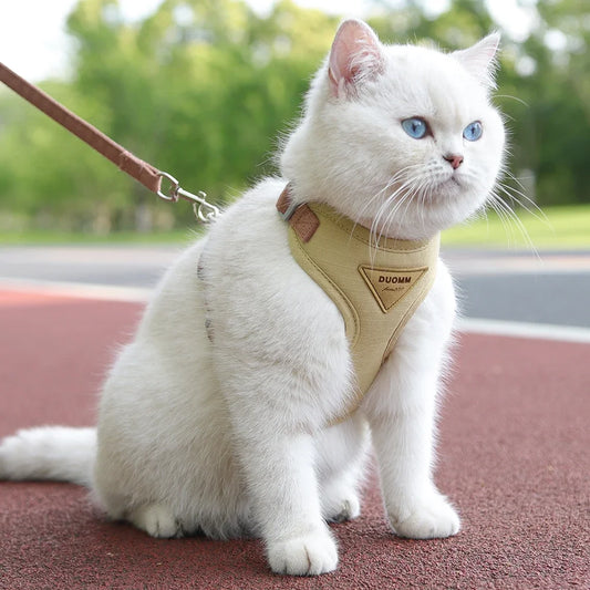 Petslova™ Stylish Pet Walking Set – Harness and Leash for Small Pets
